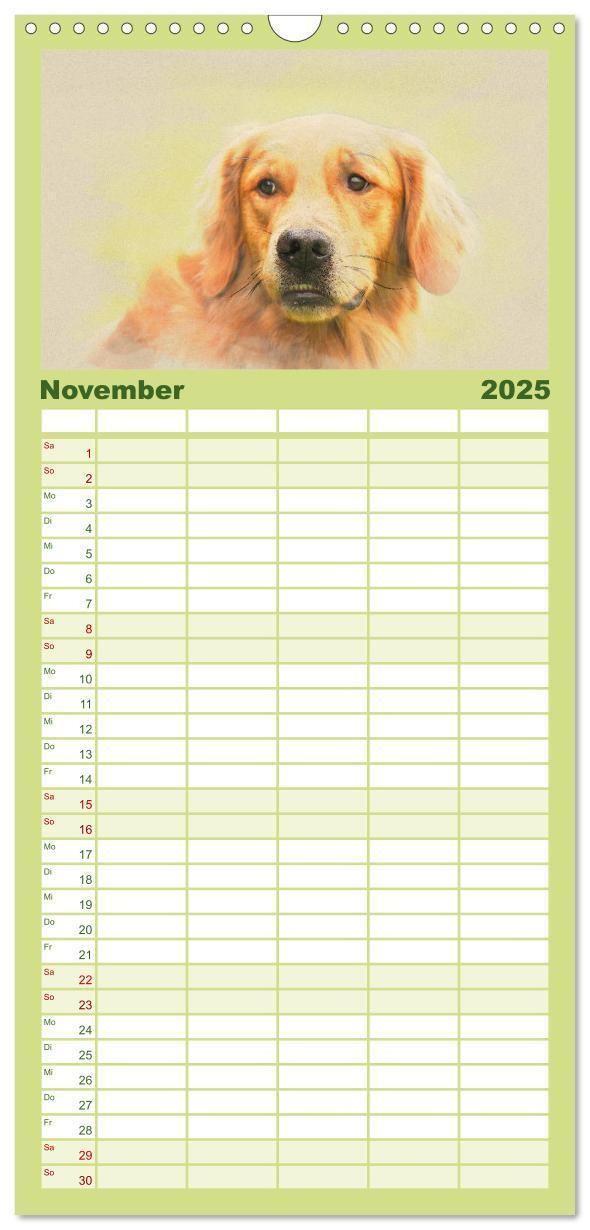 Bild: 9783457117880 | Familienplaner 2025 - Golden Retriever mit 5 Spalten (Wandkalender,...