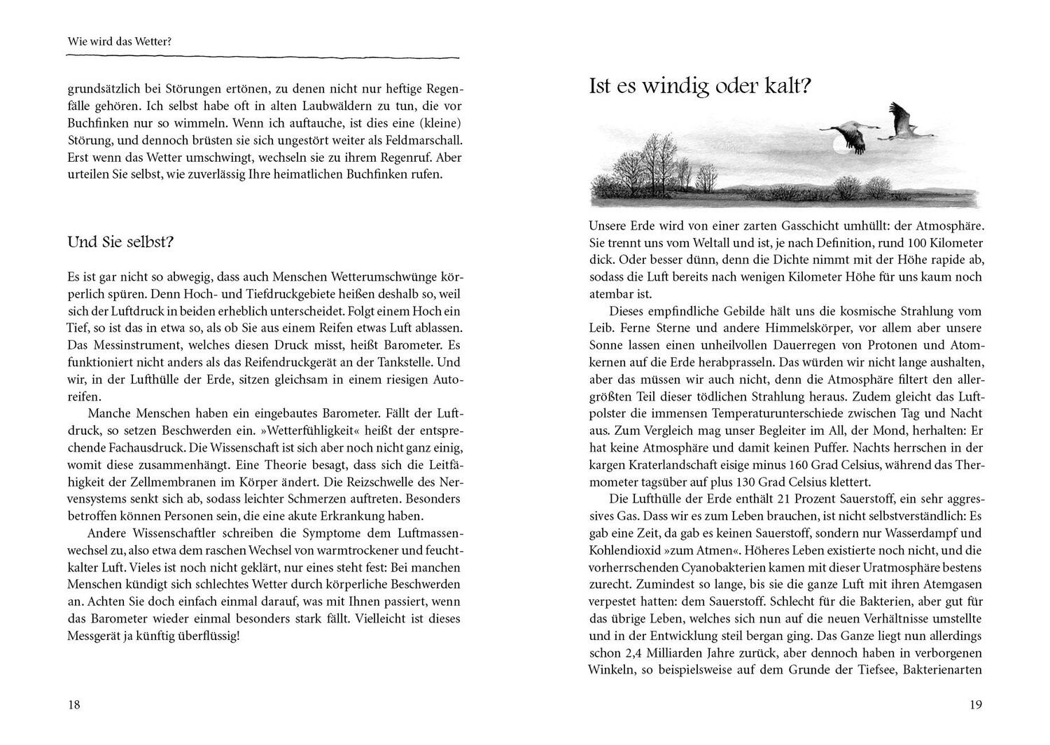 Bild: 9783895663840 | Kranichflug und Blumenuhr | Peter Wohlleben | Buch | 162 S. | Deutsch