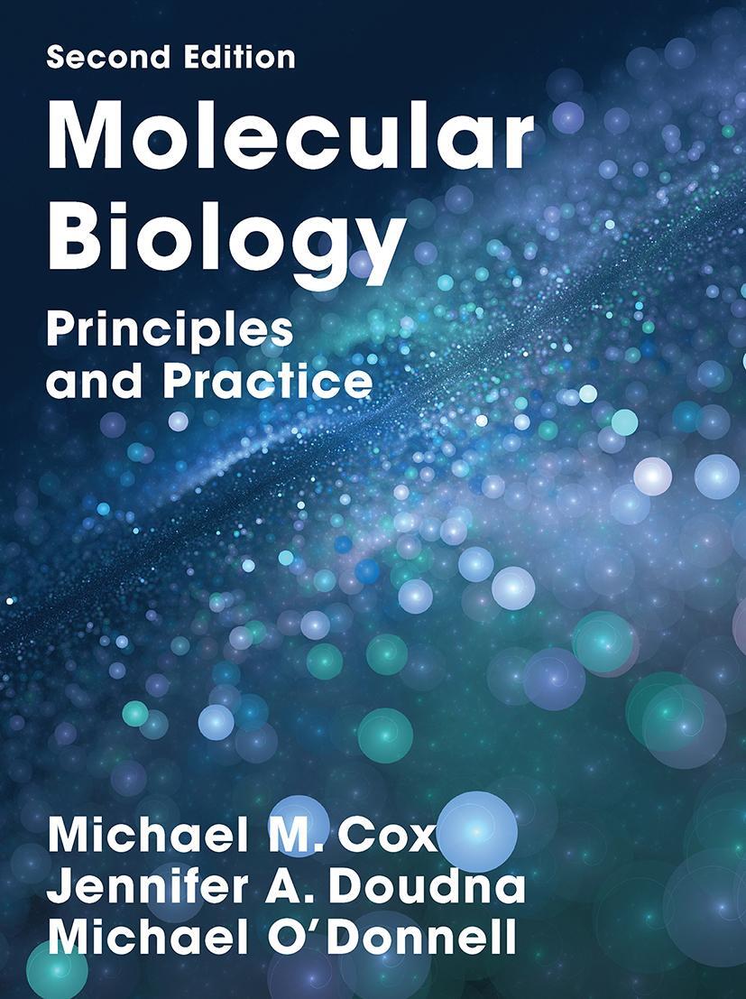Cover: 9781319154134 | Molecular Biology | Principles and Practice | Michael M. Cox (u. a.)