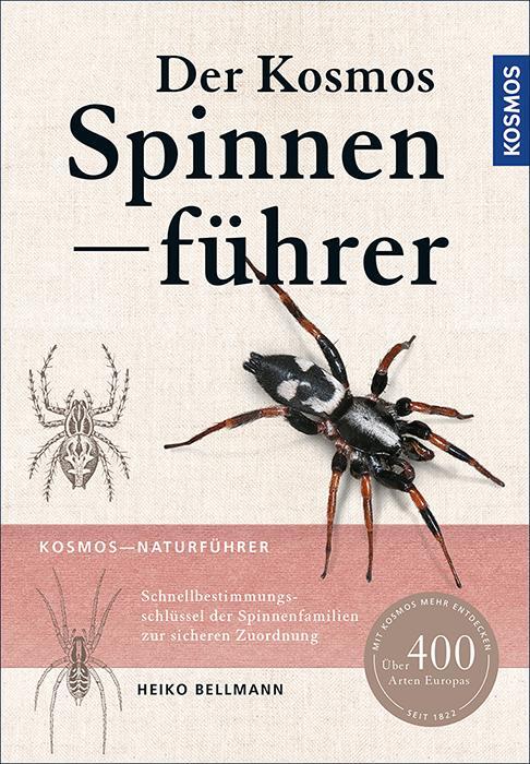 Cover: 9783440148952 | Der Kosmos Spinnenführer | Über 400 Arten Europas | Heiko Bellmann