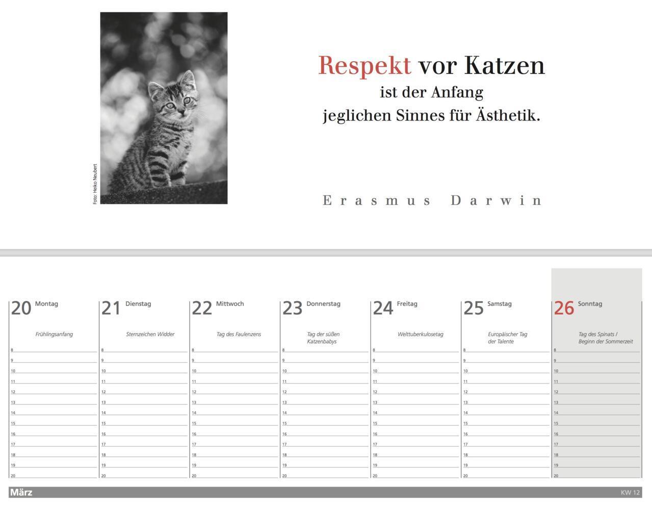 Bild: 9783895617201 | Der literarische Katzen Wochenplaner 2024 | Julia Bachstein | Kalender