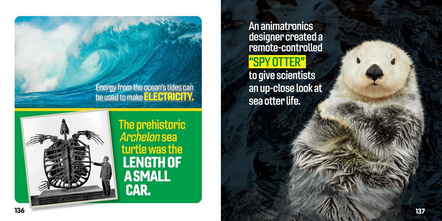 Bild: 9781426371813 | Weird But True Ocean | National Geographic Kids | Taschenbuch | 2021