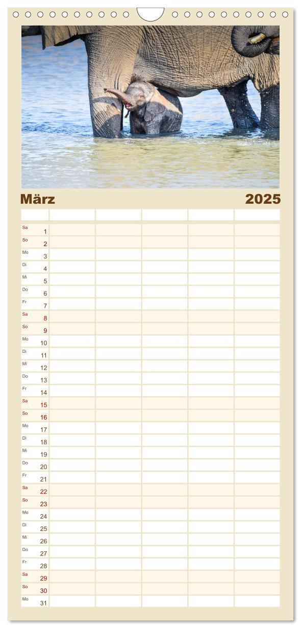 Bild: 9783457108970 | Familienplaner 2025 - Babyelefanten mit 5 Spalten (Wandkalender, 21...