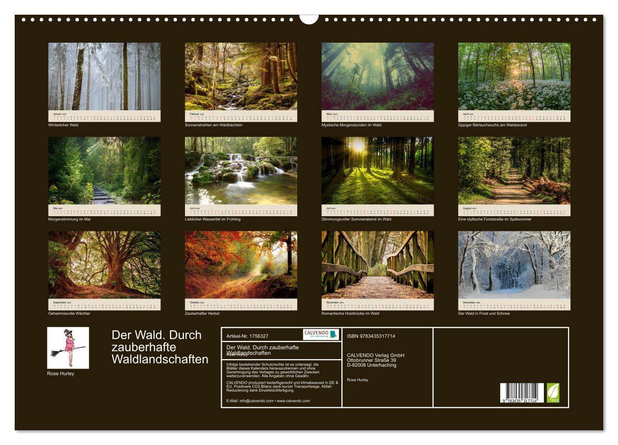 Bild: 9783435317714 | Der Wald. Durch zauberhafte Waldlandschaften (Wandkalender 2025 DIN...