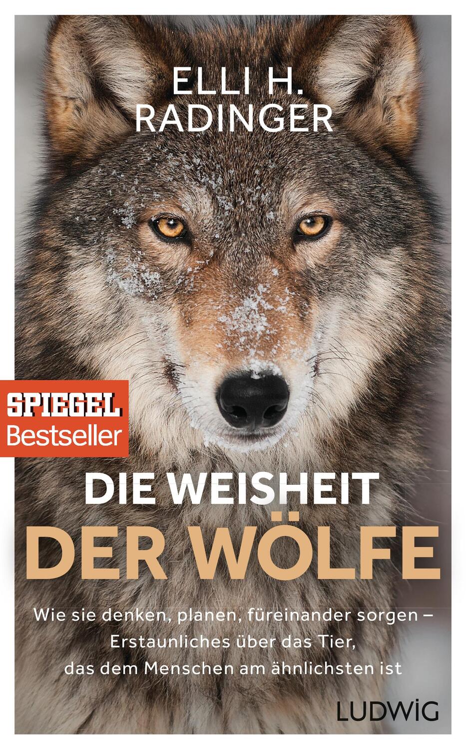 Cover: 9783453280939 | Die Weisheit der Wölfe | Elli H. Radinger | Buch | Deutsch | 2017