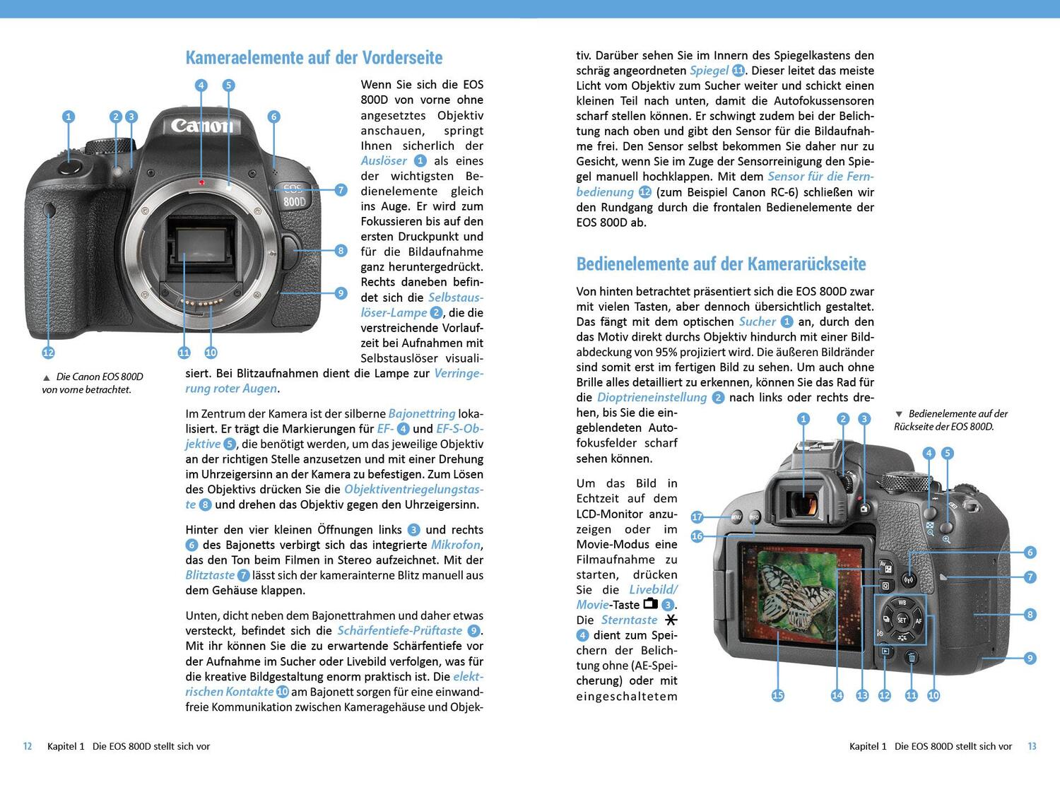 Bild: 9783832804411 | Canon EOS 850D / 800D | Das umfangreiche Praxisbuch zu Ihrer Kamera!