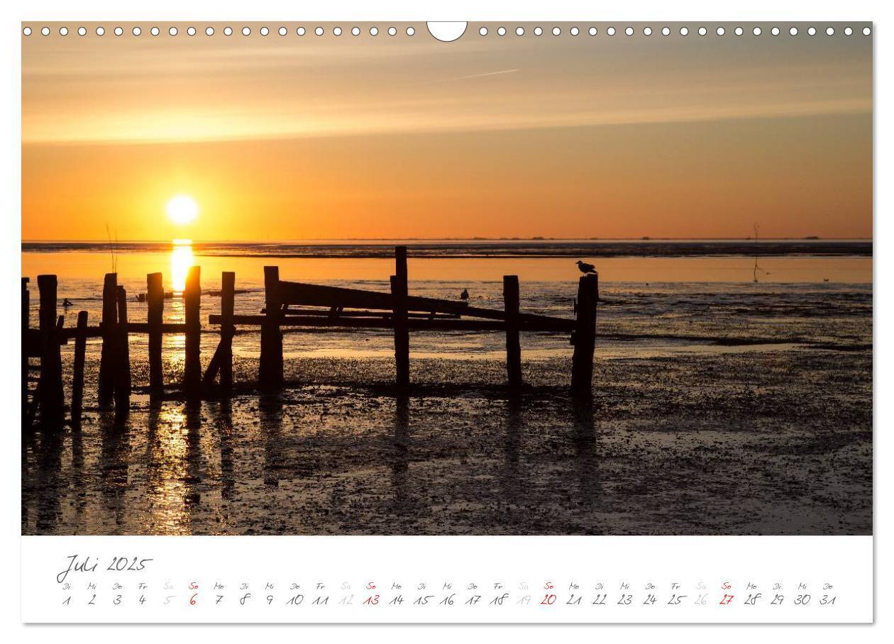 Bild: 9783435601318 | Amrum - Eine farbenfrohe Insellandschaft (Wandkalender 2025 DIN A3...