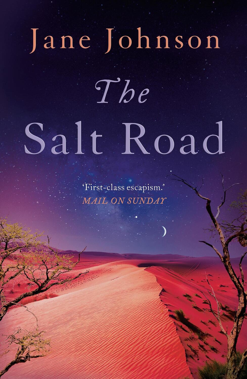 Cover: 9781789545272 | The Salt Road | Jane Johnson | Taschenbuch | Kartoniert / Broschiert