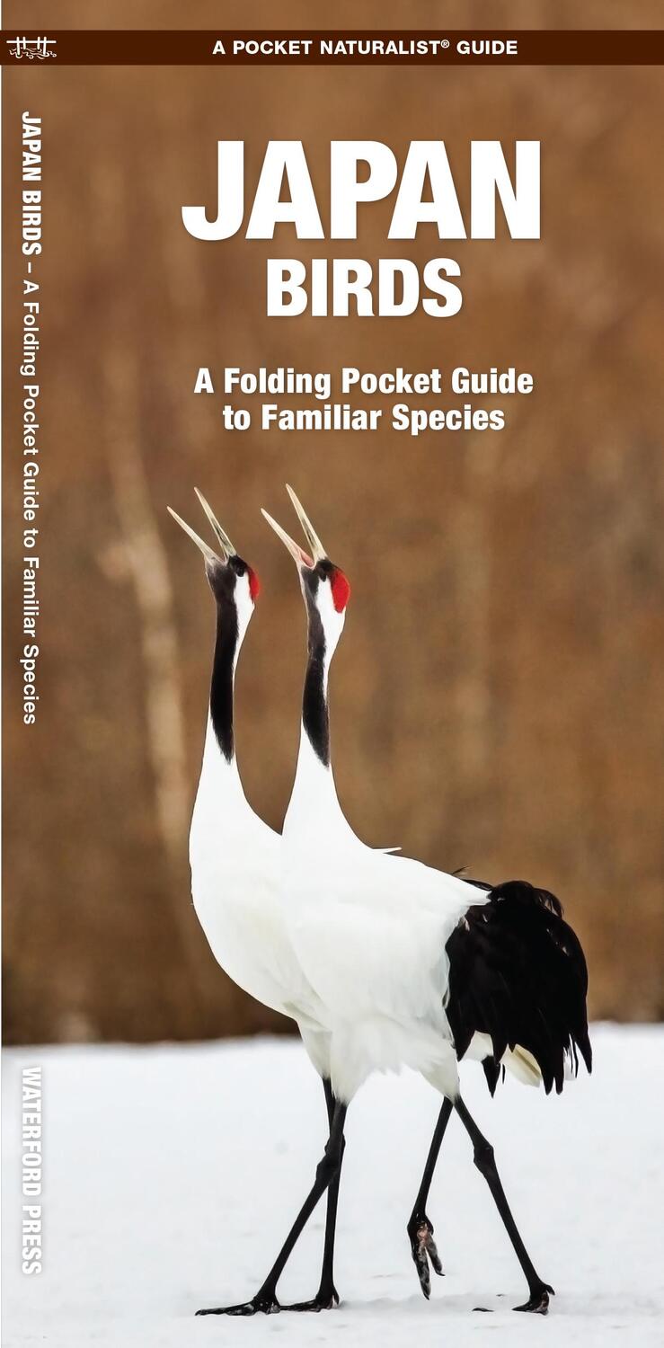 Cover: 9781620052761 | Japan Birds | A Folding Pocket Guide to Familiar Species | Taschenbuch
