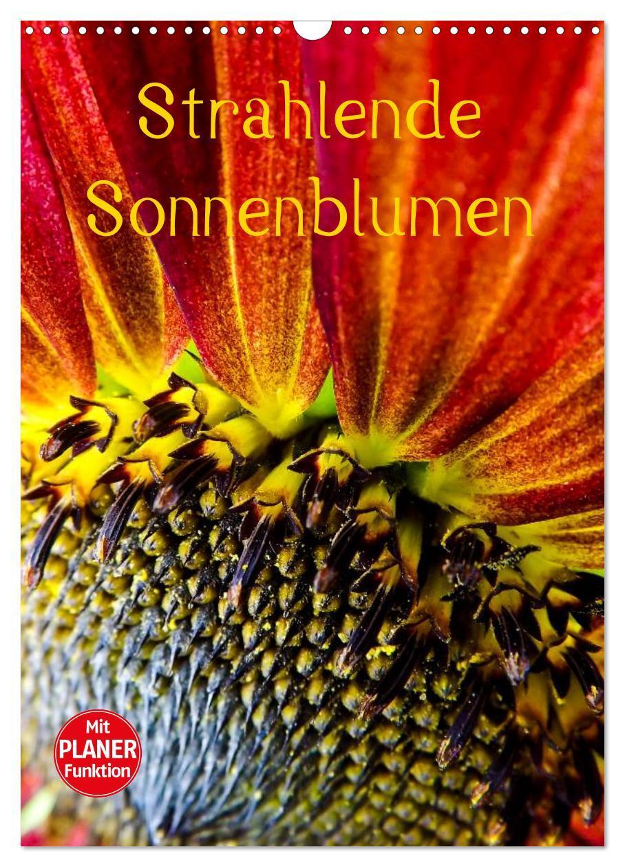 Cover: 9783457004616 | Strahlende Sonnenblumen (Wandkalender 2025 DIN A3 hoch), CALVENDO...