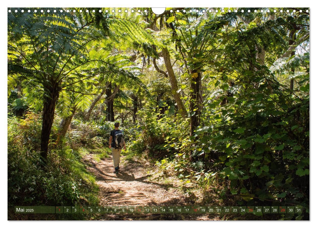 Bild: 9783435184309 | La Réunion - Impressionen von Rolf Dietz (Wandkalender 2025 DIN A3...