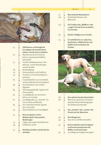 Bild: 9783440098639 | Ausdrucksverhalten beim Hund | Dorit Feddersen-Petersen | Buch | 2008