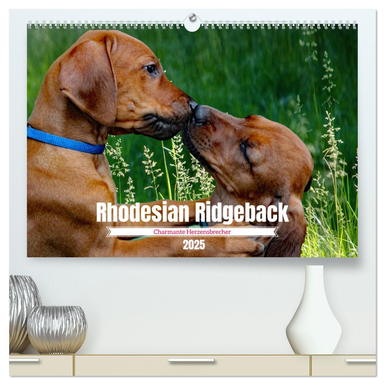 Cover: 9783383889677 | Rhodesian Ridgeback, Charmante Herzensbrecher (hochwertiger Premium...