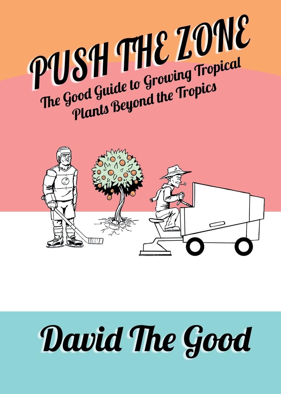 Cover: 9781955289047 | Push the Zone | David The Good | Taschenbuch | Englisch | 2021