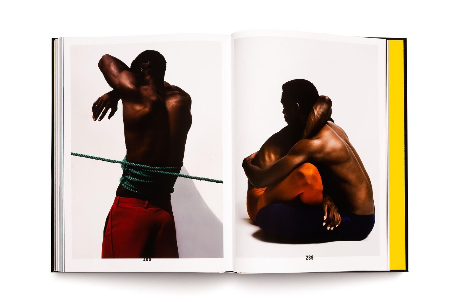 Bild: 9783775755191 | Black Masculinities | creating emotive utopias through photography