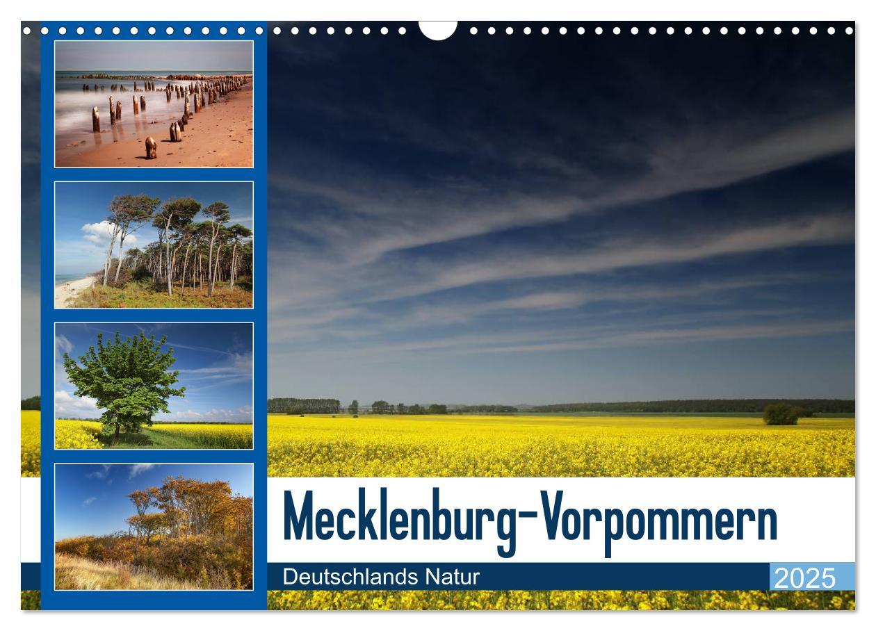 Cover: 9783435780174 | Mecklenburg-Vorpommern (Wandkalender 2025 DIN A3 quer), CALVENDO...