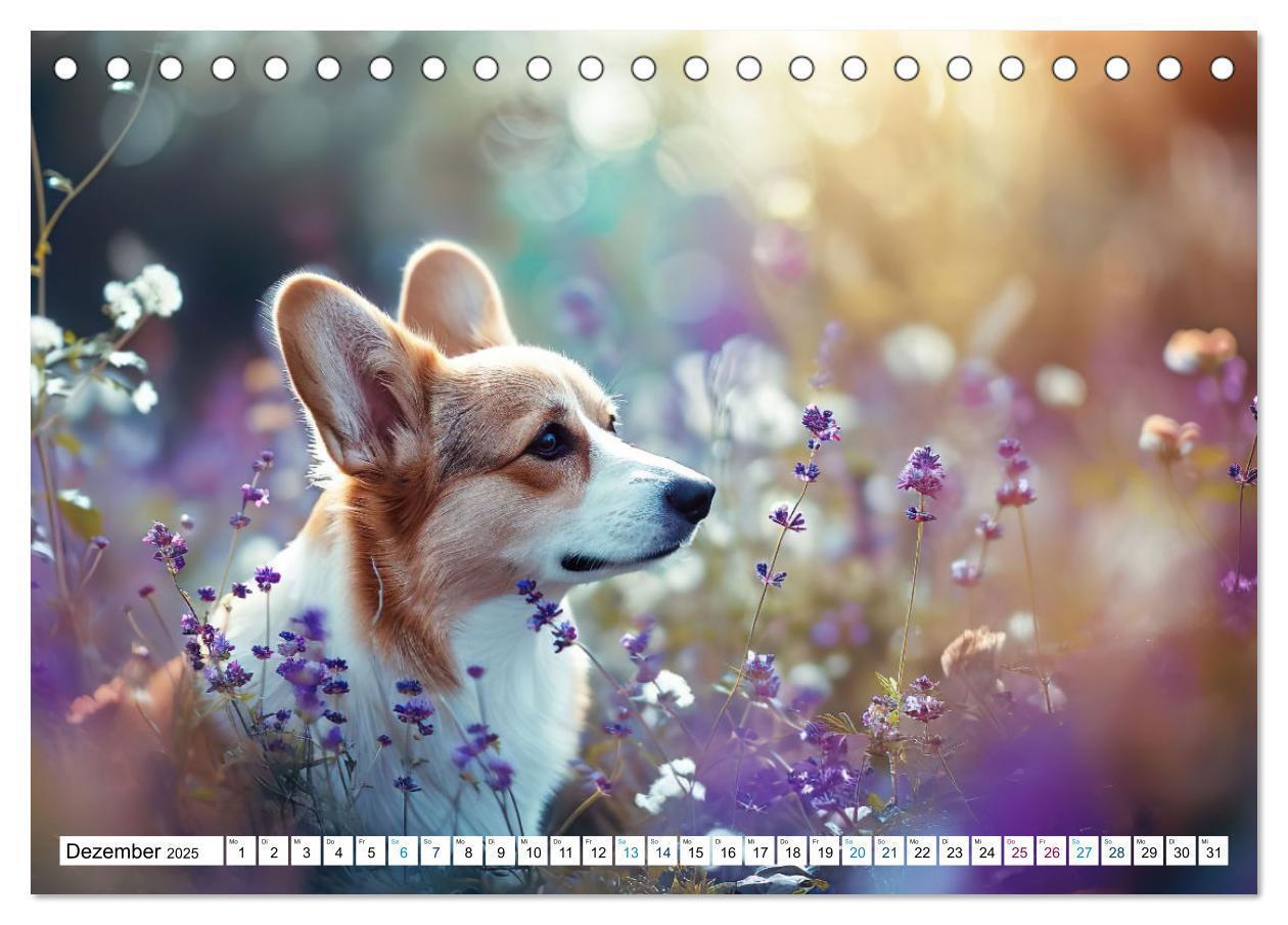 Bild: 9783383776137 | Happy Corgis (Tischkalender 2025 DIN A5 quer), CALVENDO Monatskalender