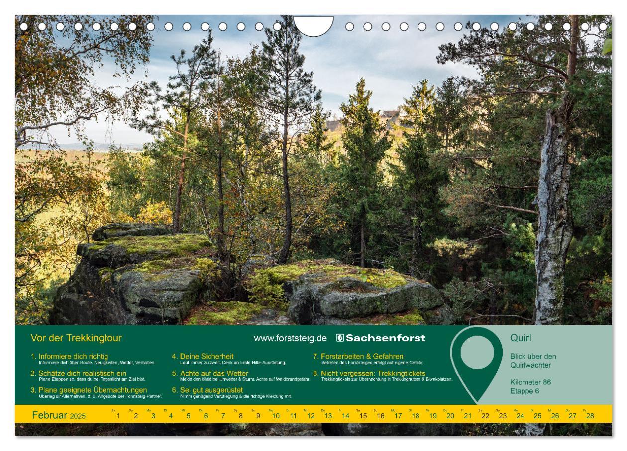 Bild: 9783383919145 | Erlebnis Forststeig Elbsandstein (Wandkalender 2025 DIN A4 quer),...