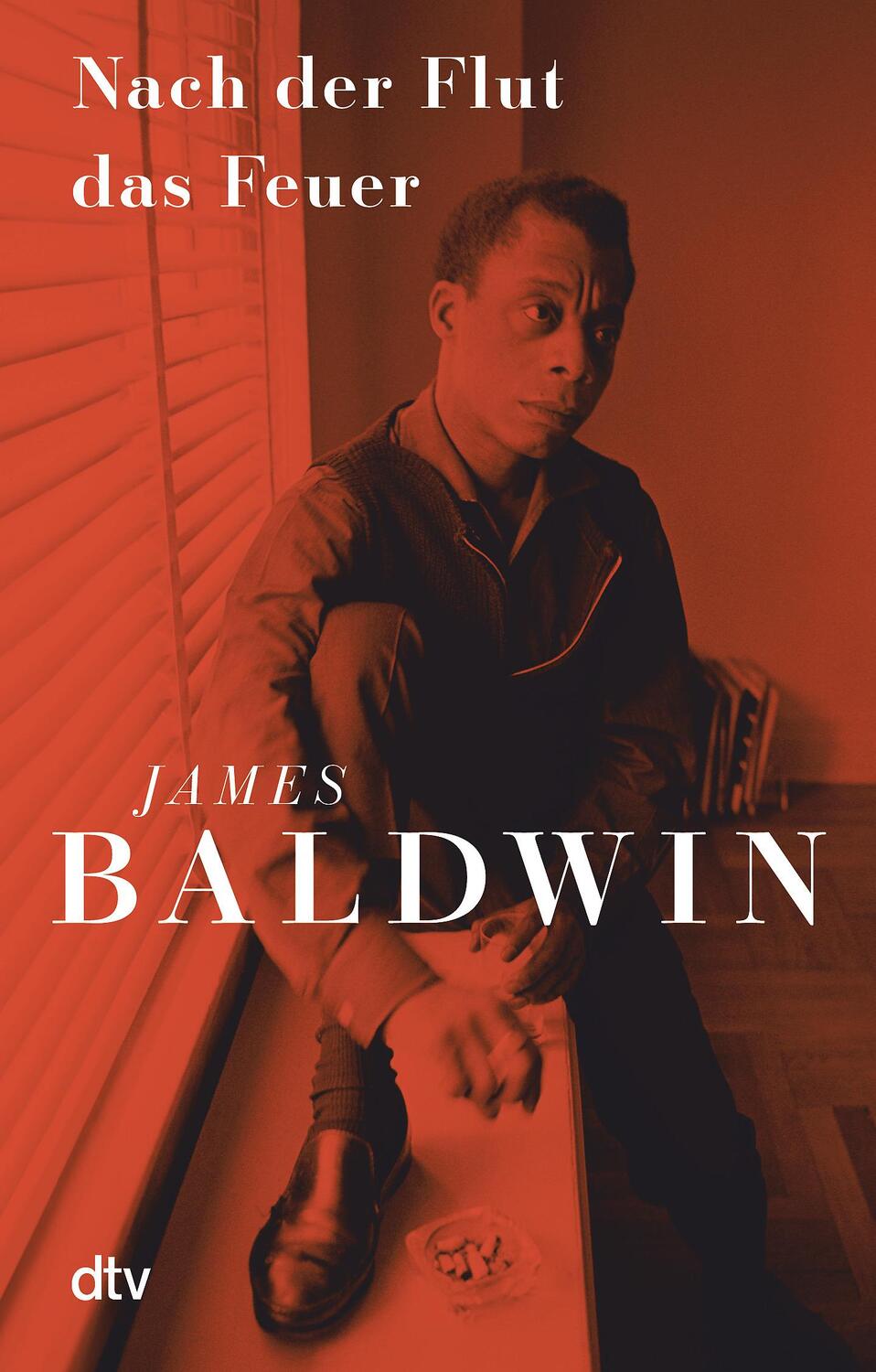 Cover: 9783423147361 | Nach der Flut das Feuer | The Fire Next Time | James Baldwin | Buch