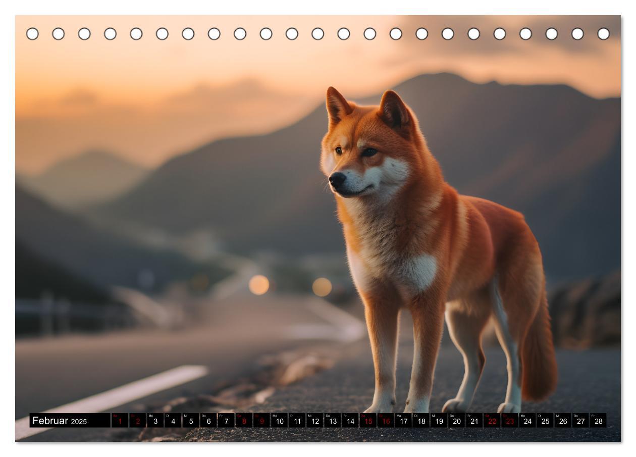 Bild: 9783383858765 | Shiba Inu - Stolz und Anmut (Tischkalender 2025 DIN A5 quer),...