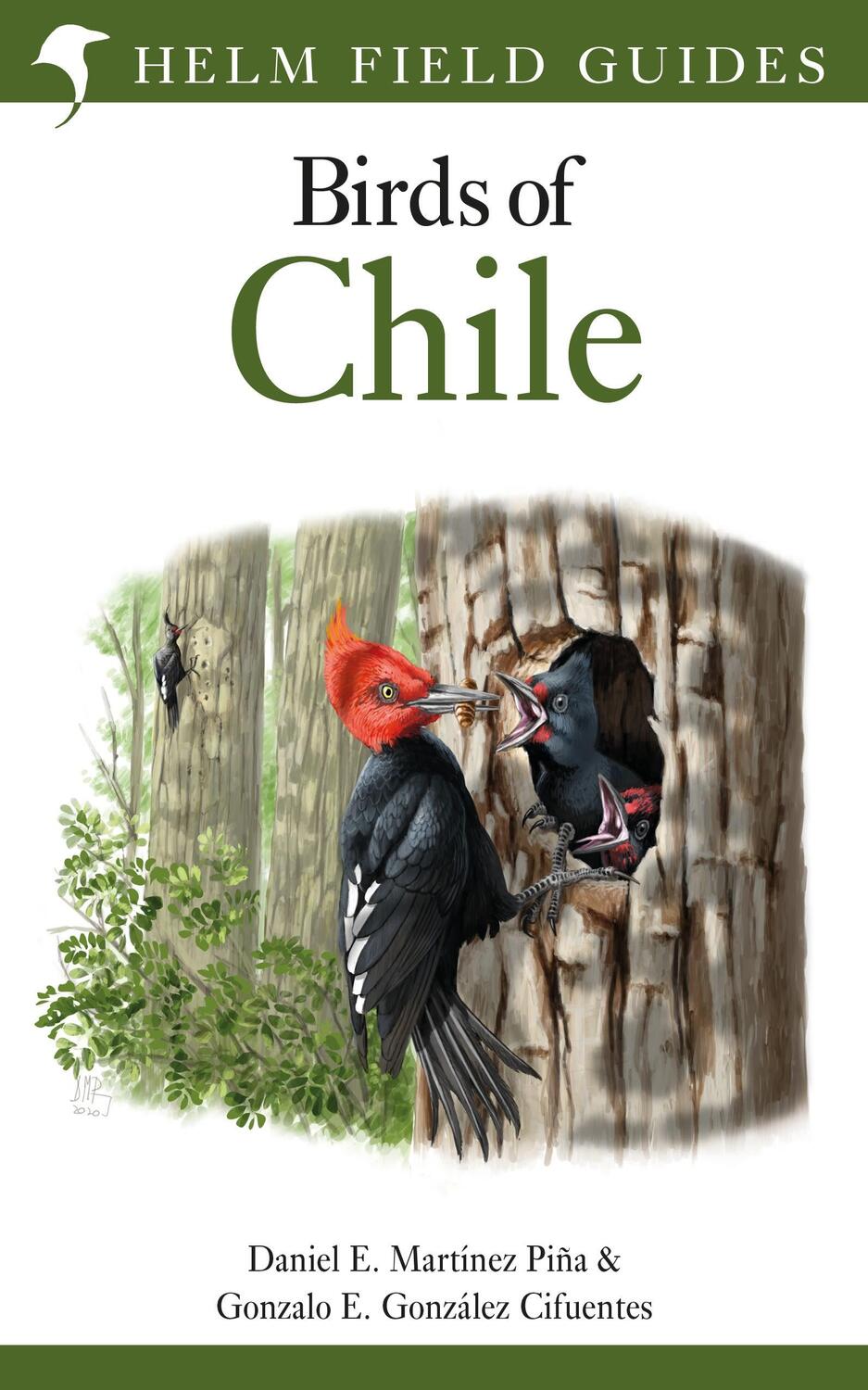 Cover: 9781472987426 | Field Guide to the Birds of Chile | Daniel E. Martinez Pina (u. a.)