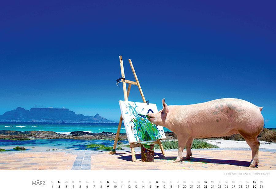 Bild: 9783966648325 | Pigcasso Kalender 2025 | Joanne Lefson | Kalender | Spiralbindung