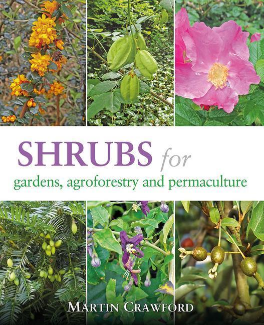 Cover: 9781856233330 | Shrubs for Gardens, Agroforestry and Permaculture | Martin Crawford