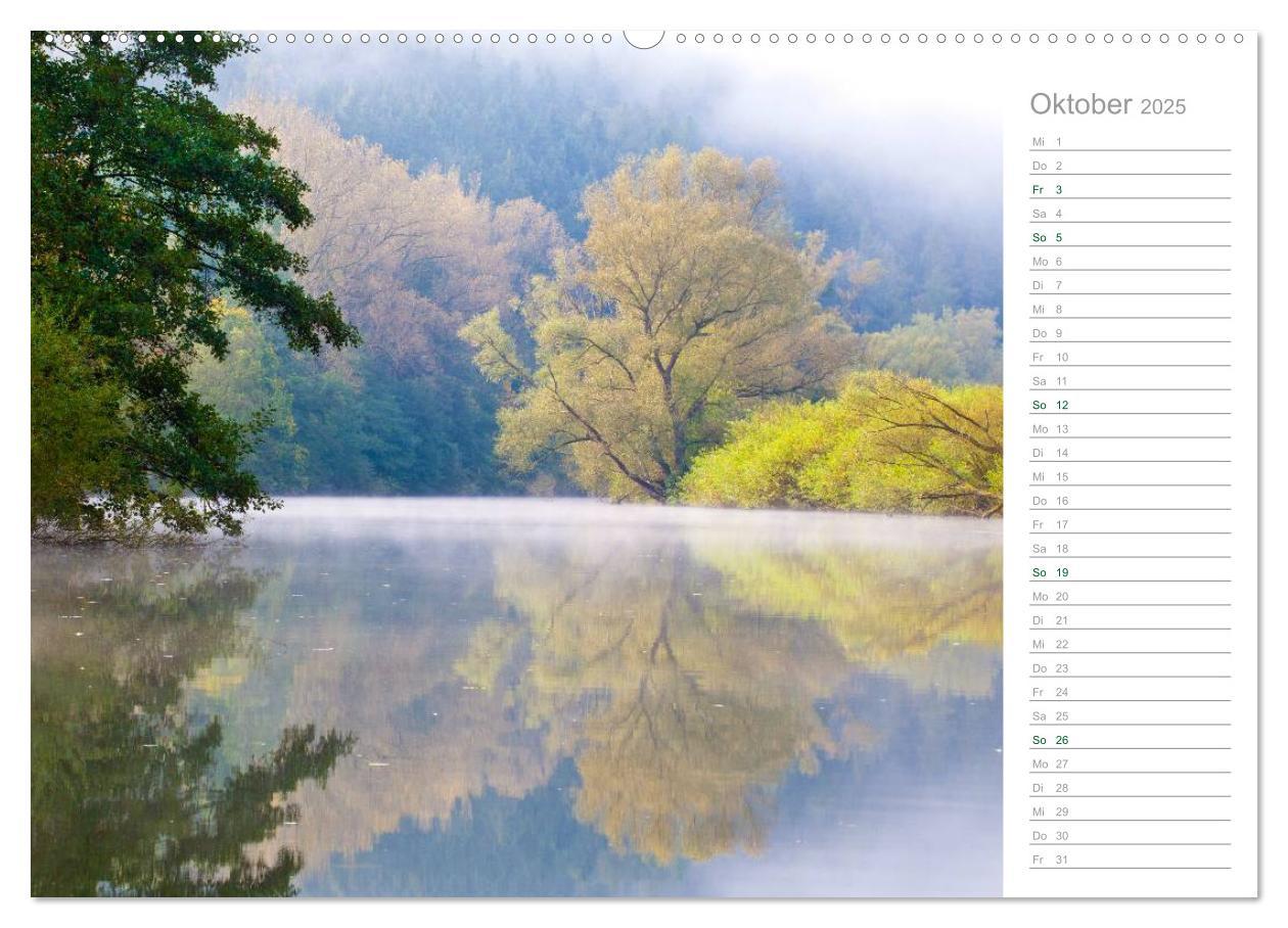 Bild: 9783435541850 | Im Deutschen Wald 2025 - ein Notizkalender (Wandkalender 2025 DIN...