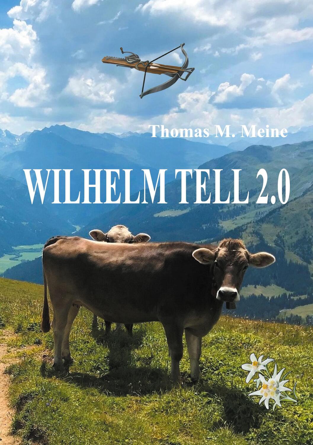 Cover: 9783753445519 | Wilhelm Tell 2.0 | Wilhelm Tell neu erzählt | Thomas M. Meine | Buch
