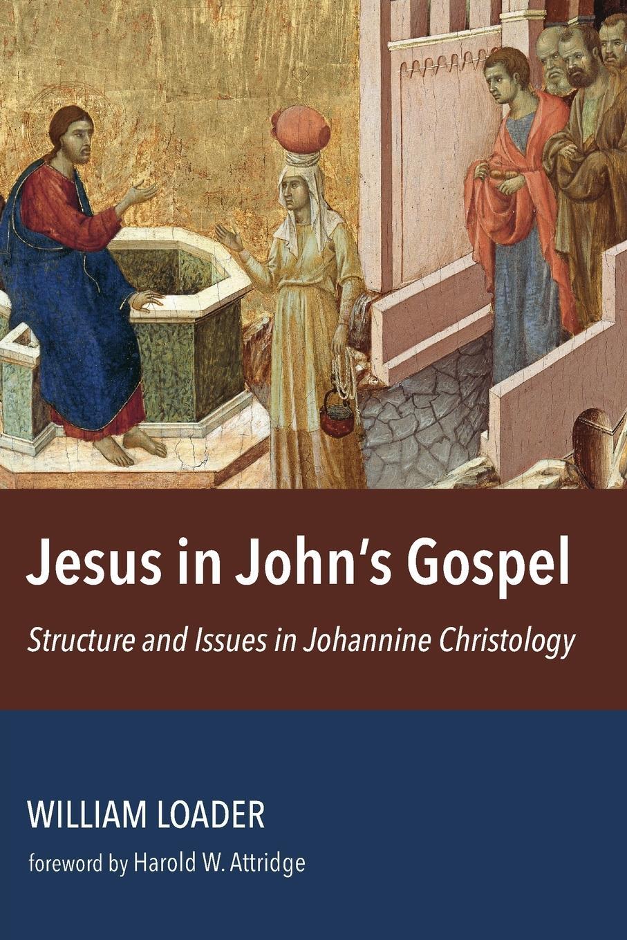 Cover: 9780802875112 | Jesus in John's Gospel | Structure and Issues in Johannine Christology