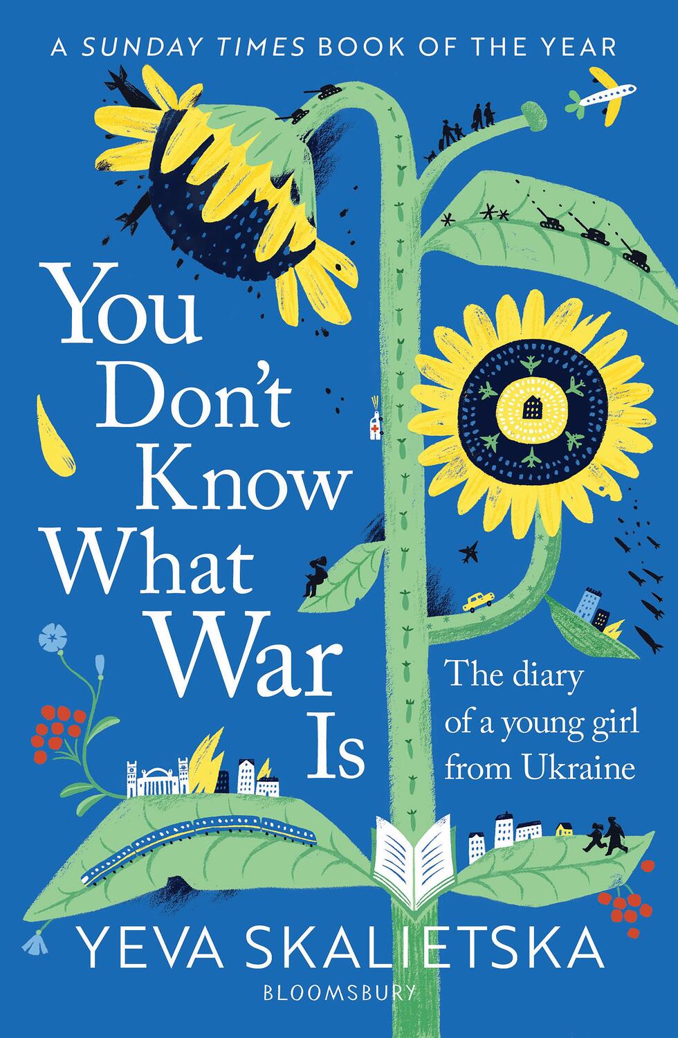 Cover: 9781526659934 | You Don't Know What War Is | The Diary of a Young Girl From Ukraine