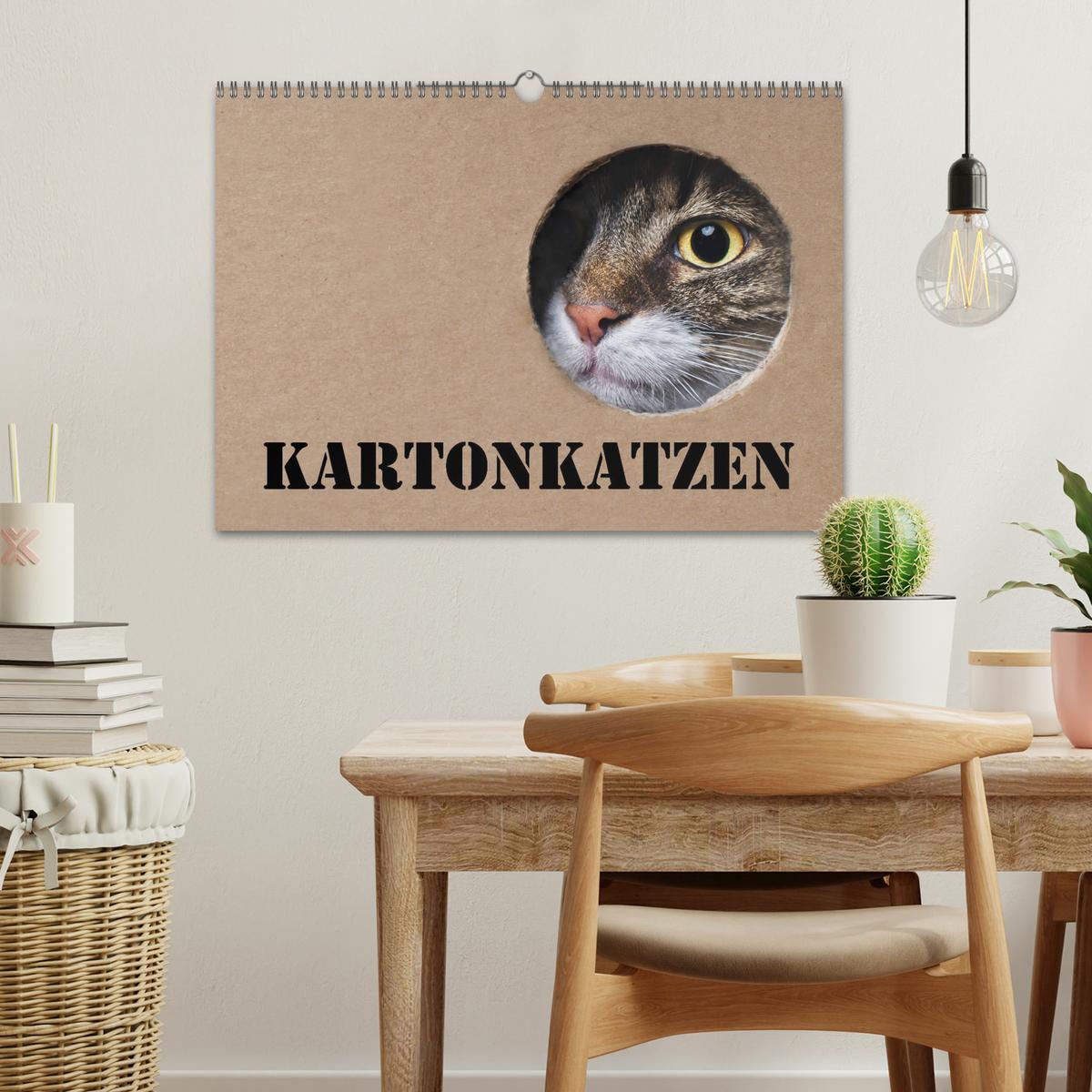 Bild: 9783435205417 | Karton Katzen (Wandkalender 2025 DIN A3 quer), CALVENDO Monatskalender