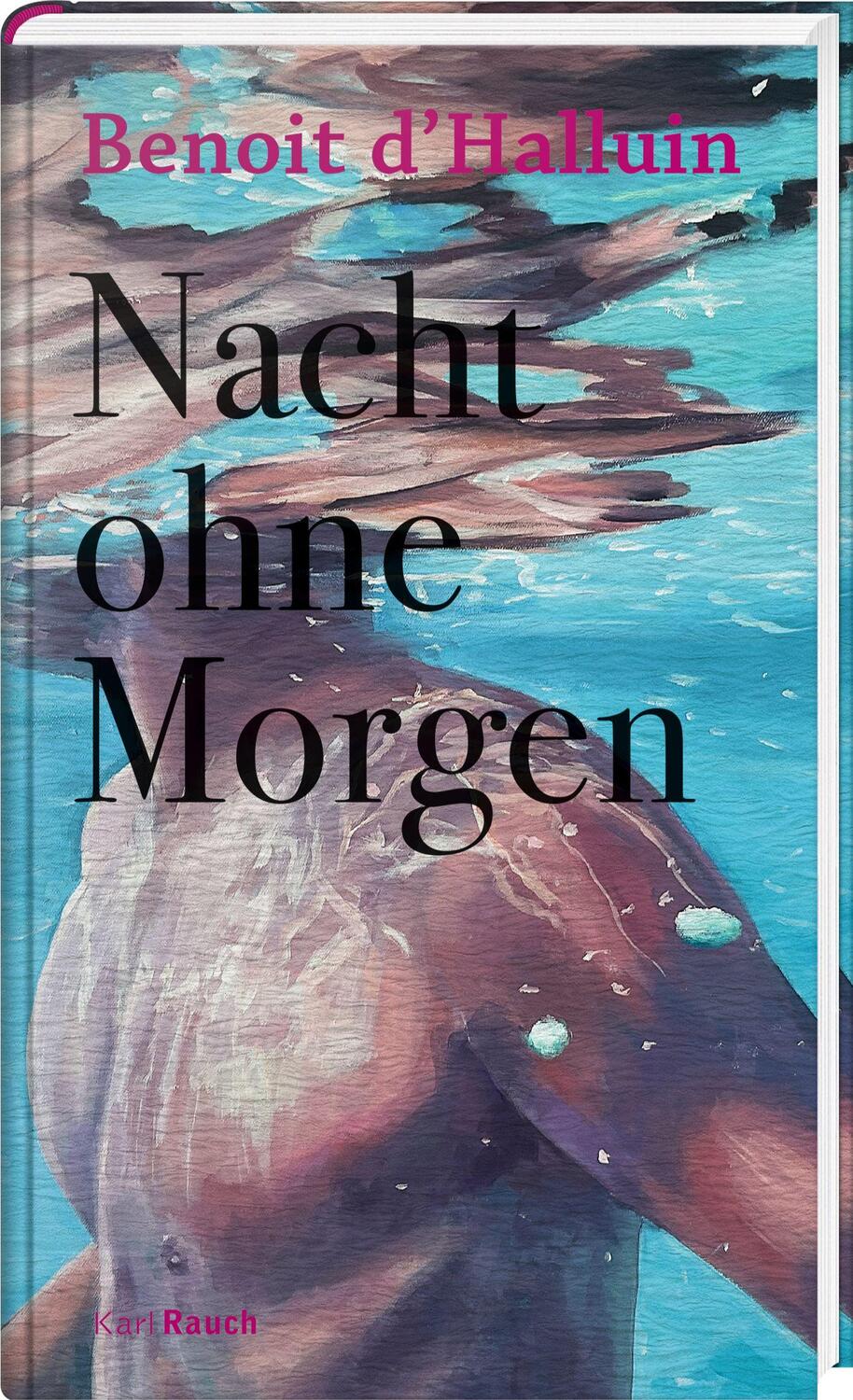 Cover: 9783792002834 | Nacht ohne Morgen | Benoit d`Halluin | Buch | 256 S. | Deutsch | 2024