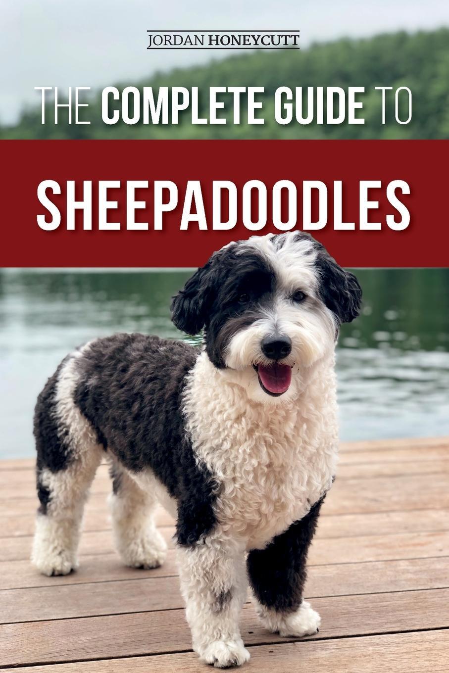 Cover: 9781952069826 | The Complete Guide to Sheepadoodles | Jordan Honeycutt | Taschenbuch