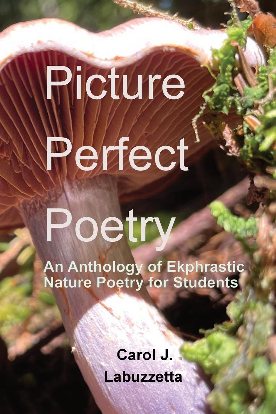 Cover: 9798986136912 | Picture Perfect Poetry | Carol J. Labuzzetta | Taschenbuch | Englisch