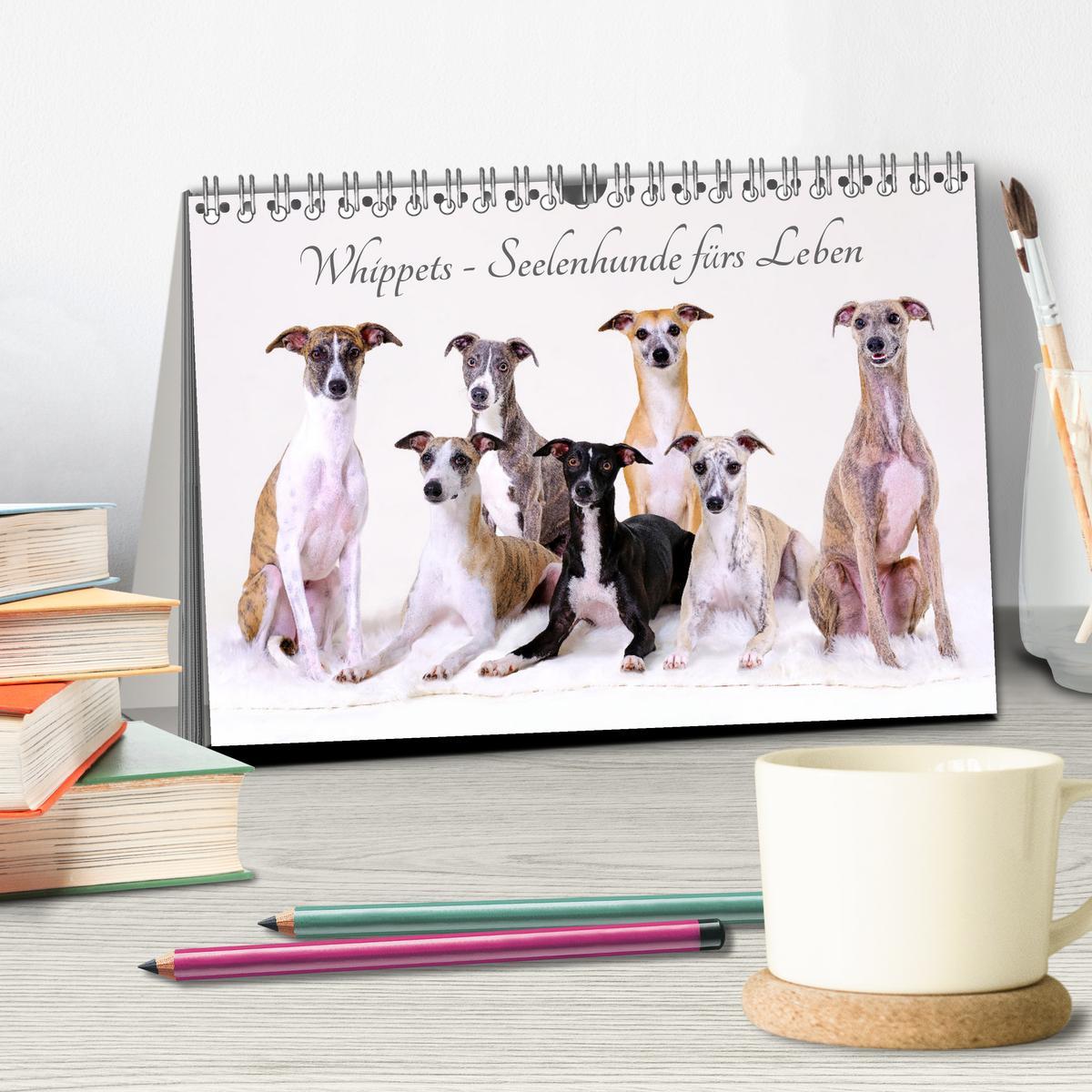 Bild: 9783383890536 | Whippets - Seelenhunde fürs Leben (Tischkalender 2025 DIN A5 quer),...