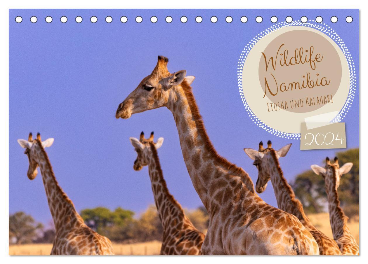 Cover: 9783383712548 | Wildlife Namibia - Etosha und Kalahari (Tischkalender 2024 DIN A5...