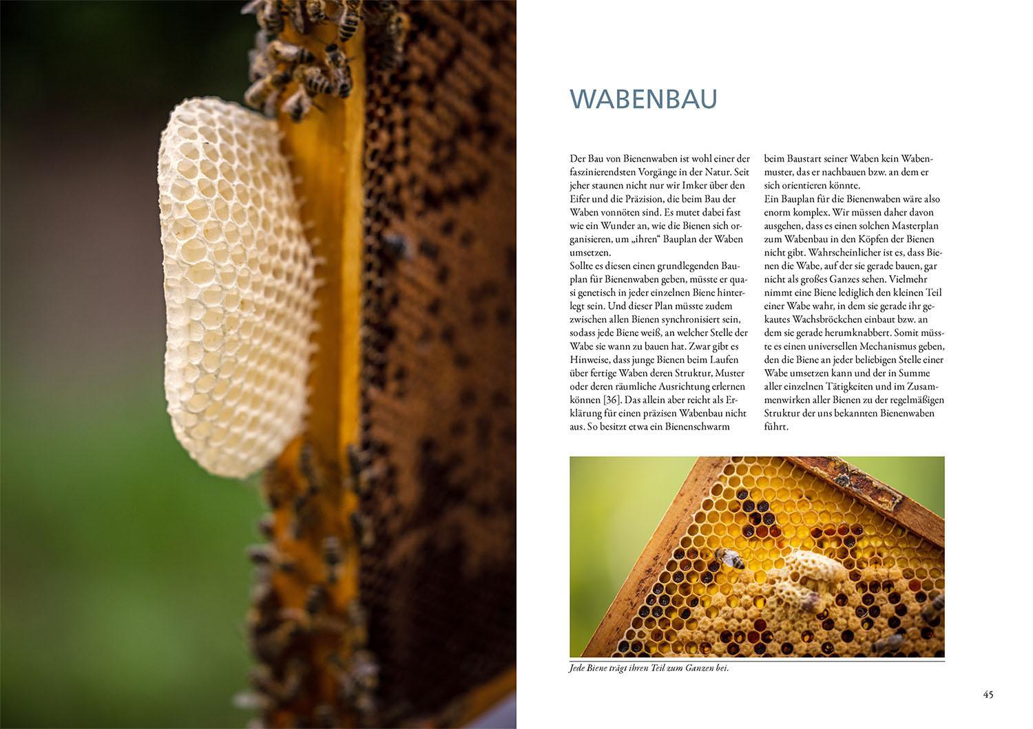 Bild: 9783440174005 | Bienenwachs und Wachskreislauf | Matthias Schlörholz | Taschenbuch
