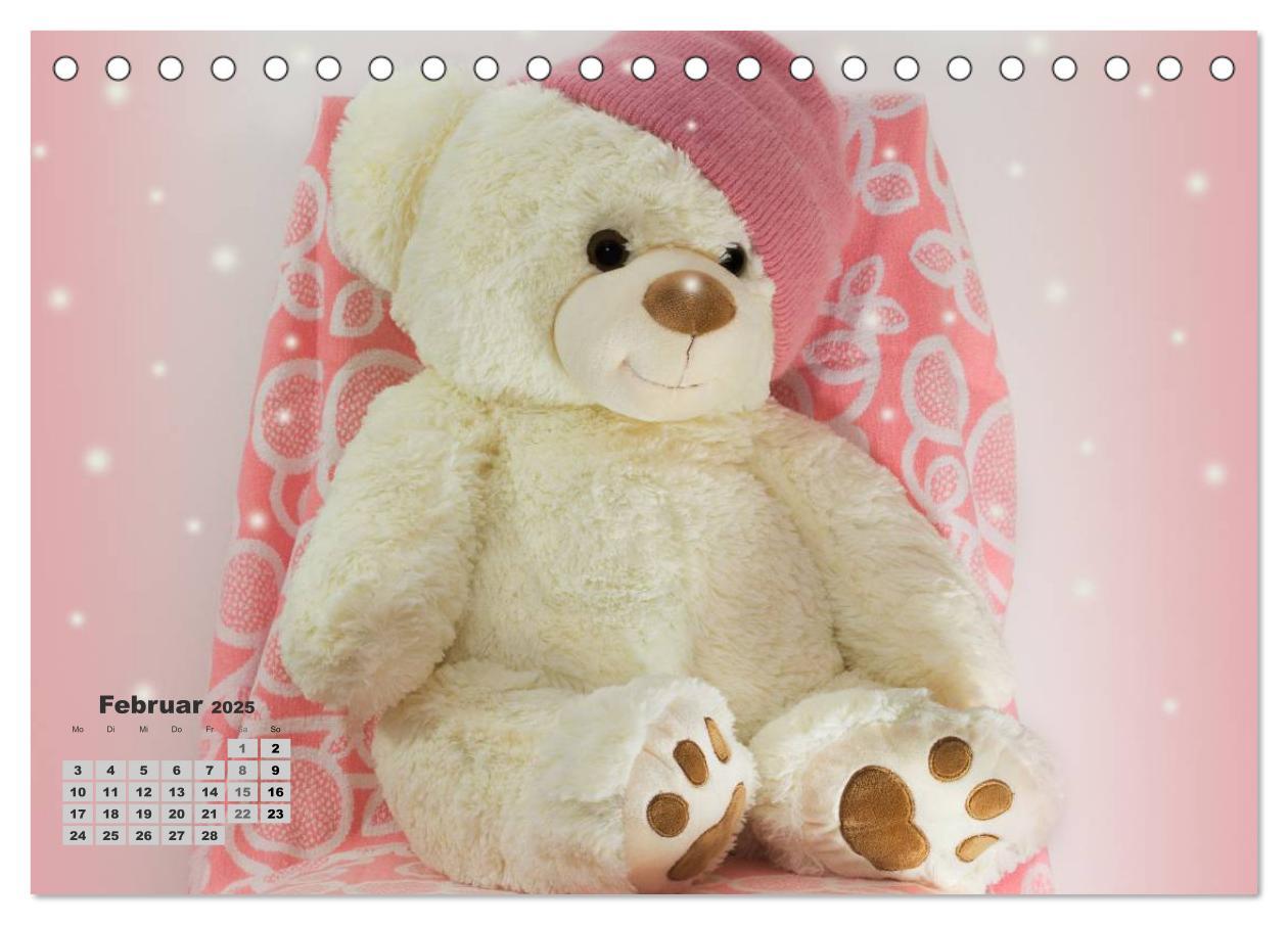 Bild: 9783435501601 | Teddys, wollen wir Kalender anschauen? (Tischkalender 2025 DIN A5...