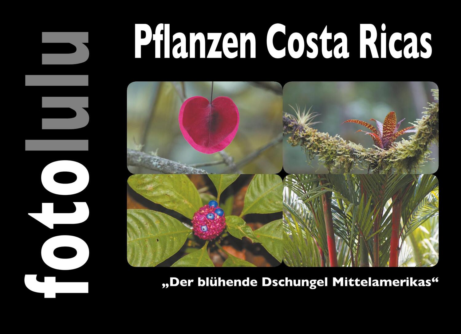 Cover: 9783749468560 | Pflanzen Costa Ricas | Der blühende Dschungel Mittelamerikas | Buch