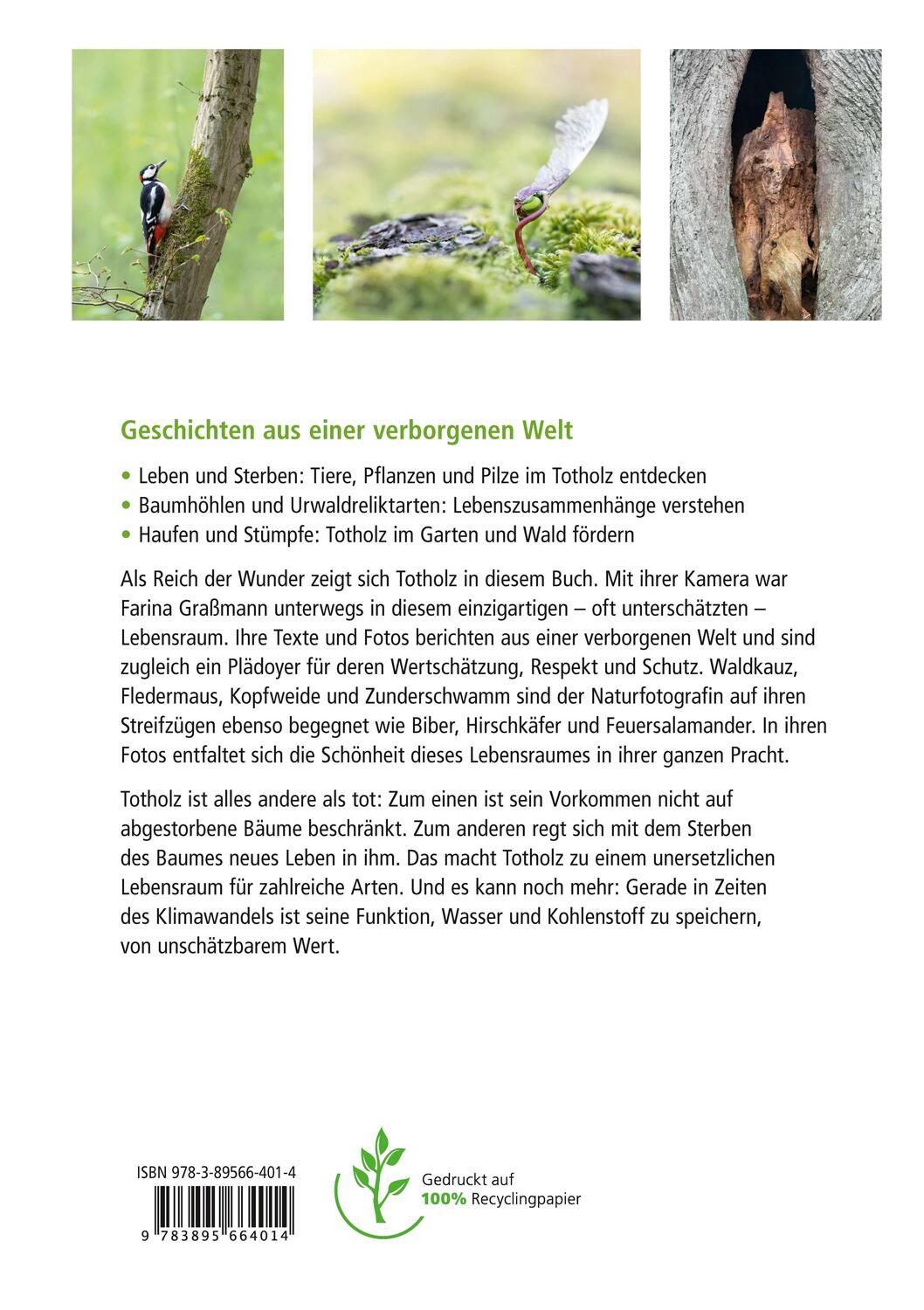 Rückseite: 9783895664014 | Wunderwelt Totholz | Farina Graßmann | Buch | 160 S. | Deutsch | 2020