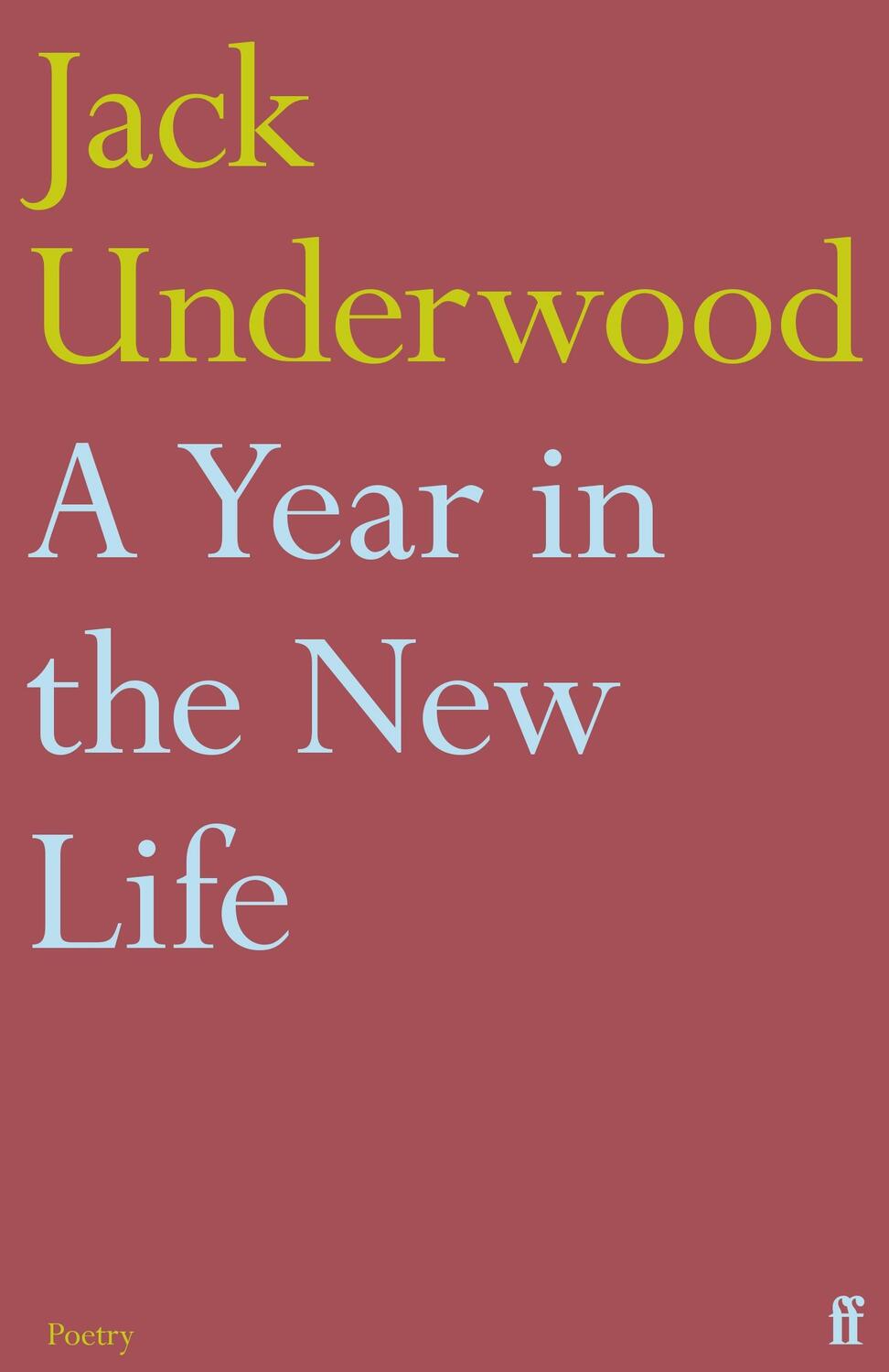 Cover: 9780571367252 | A Year in the New Life | Jack Underwood | Taschenbuch | Englisch