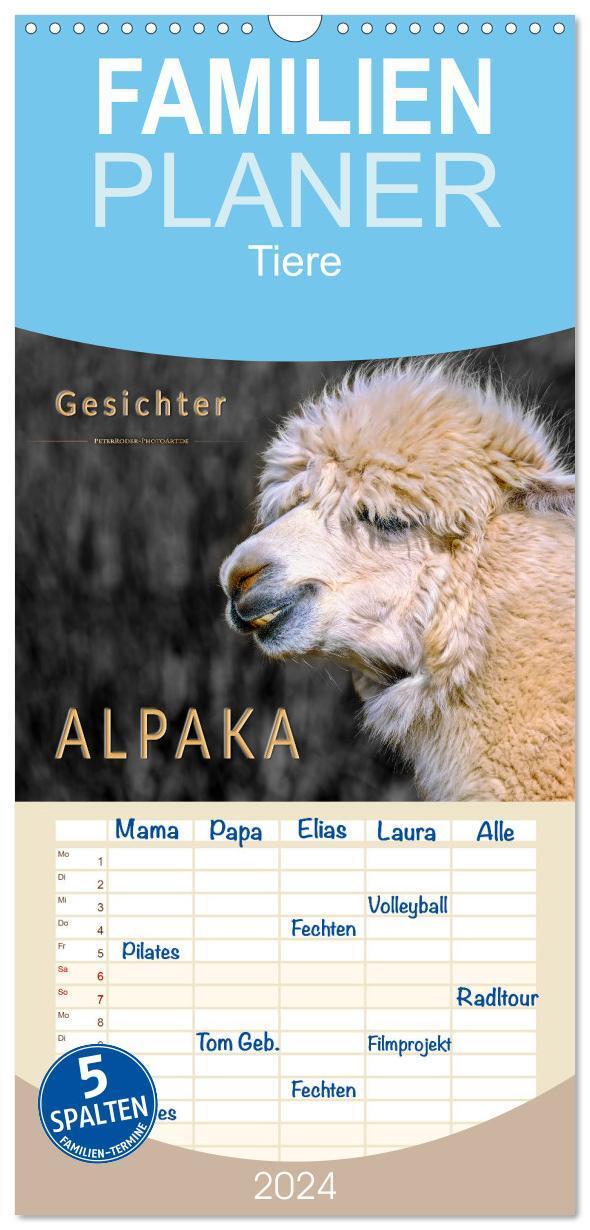 Cover: 9783383085185 | Familienplaner 2024 - Alpaka Gesichter mit 5 Spalten (Wandkalender,...