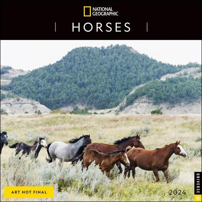 Cover: 9780789343437 | National Geographic: Horses 2024 Wall Calendar | Geographic (u. a.)