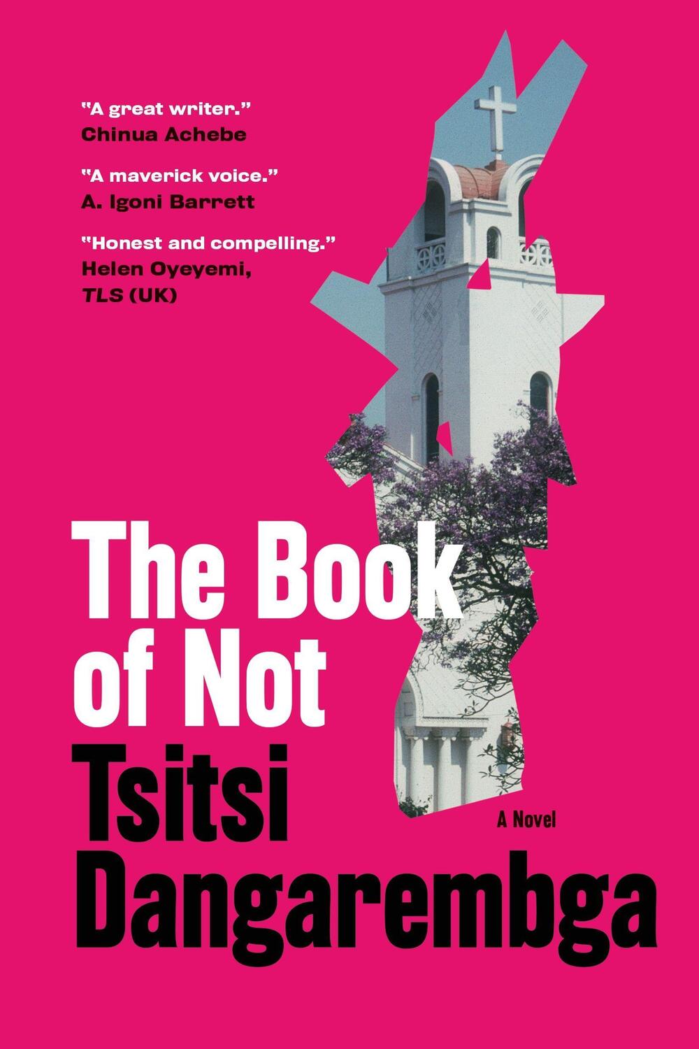 Cover: 9781644450727 | The Book of Not | Tsitsi Dangarembga | Taschenbuch | Englisch | 2021