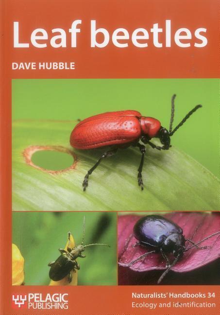 Cover: 9781784271503 | Leaf Beetles | Dave Hubble | Taschenbuch | Naturalists' Handbooks