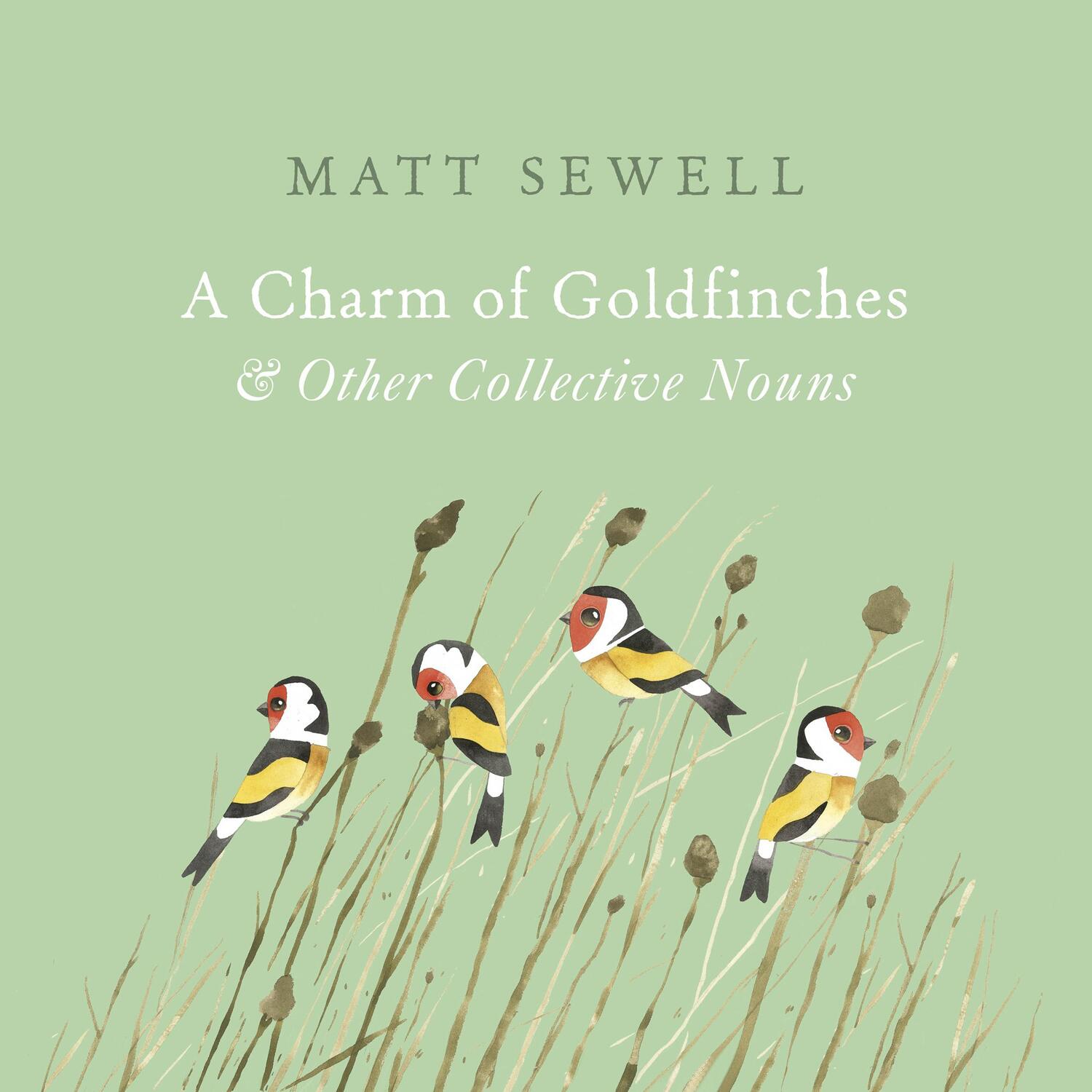 Cover: 9781785033889 | A Charm of Goldfinches and Other Collective Nouns | Matt Sewell | Buch