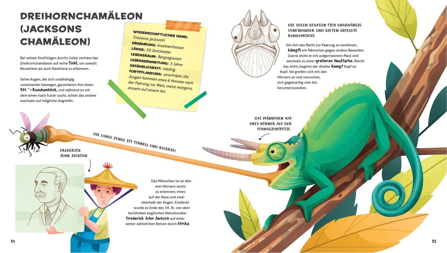 Bild: 9788863125030 | Besonders und wunderbar: Reptilien | National Geographic Kids | Banfi