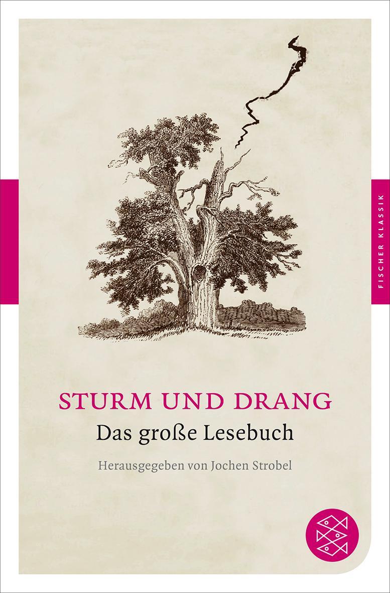 Cover: 9783596902507 | Sturm und Drang | Das große Lesebuch | Jochen Strobel | Taschenbuch