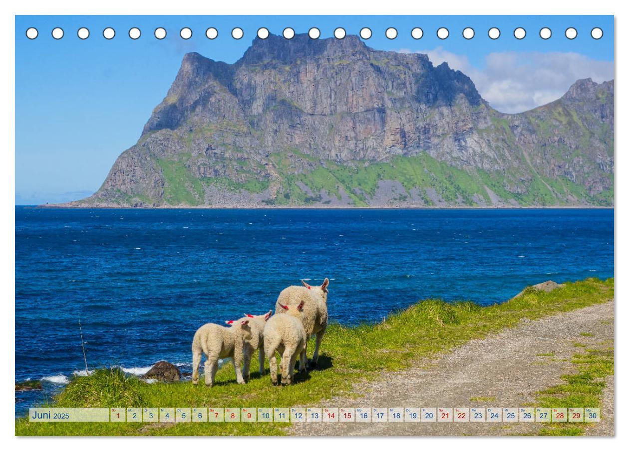 Bild: 9783435411887 | Die Lofoten - Eine Bilder-Reise (Tischkalender 2025 DIN A5 quer),...